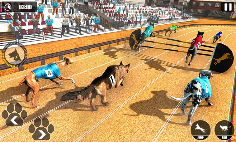 Kinh Nghiệm Cược Game Đua Chó 8XX Bất Bại Dành Cho Mọi Bet Thủ
