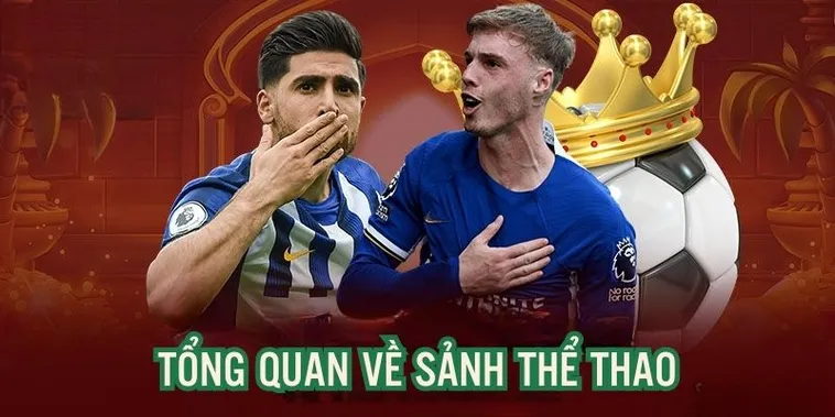 Trải Nghiệm Cá Cược Thể Thao 8XX Đẳng Cấp Với Tỷ Lệ Kèo Hấp Dẫn
