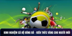 Chiến Thuật Cá Cược Bóng Đá 8XX Đỉnh Cao Giúp Bạn Thắng Lớn Mỗi Ngày